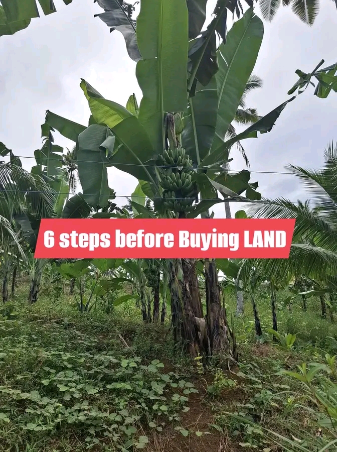 6 Steps Before Buying Land