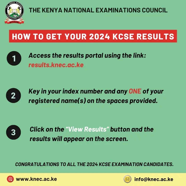 Details Of 2024 KCSE Results