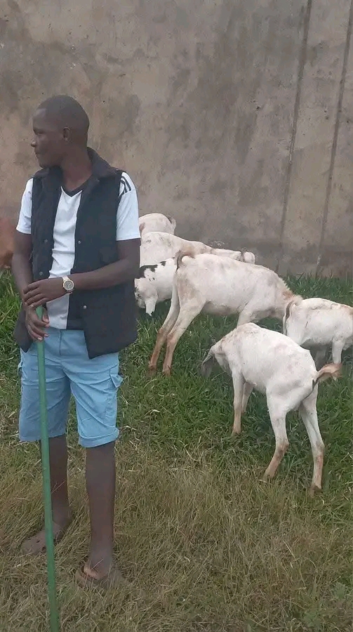 What Phillip Ouko is doing