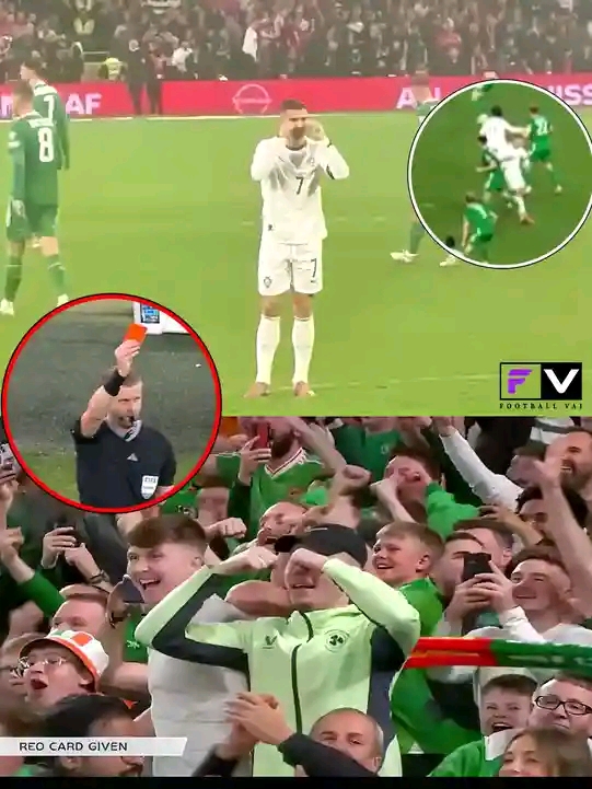 Ronaldo I𝐥𝐥𝐞𝐠𝐚𝐥𝐥𝐲 Struck A player On The Back