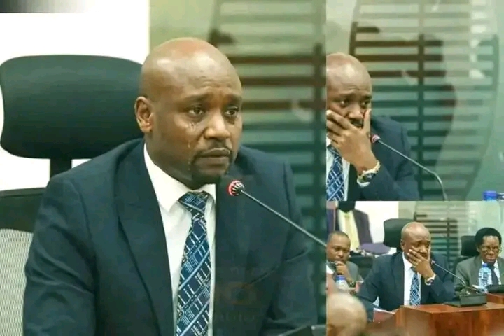 Tears, Tissues And Tough Questions At The Senate