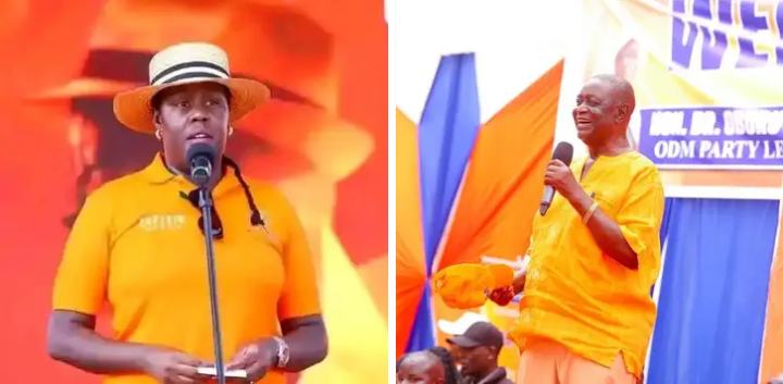 Is ODM Party Splitting