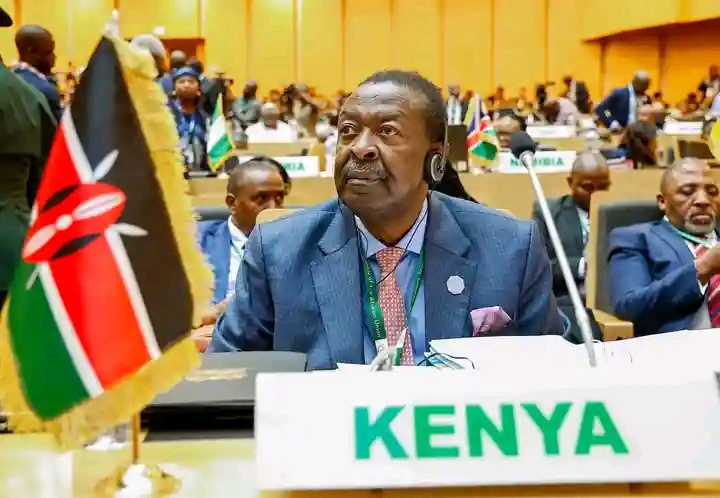 Here Is Musalia Mudavadi’s Rich CV