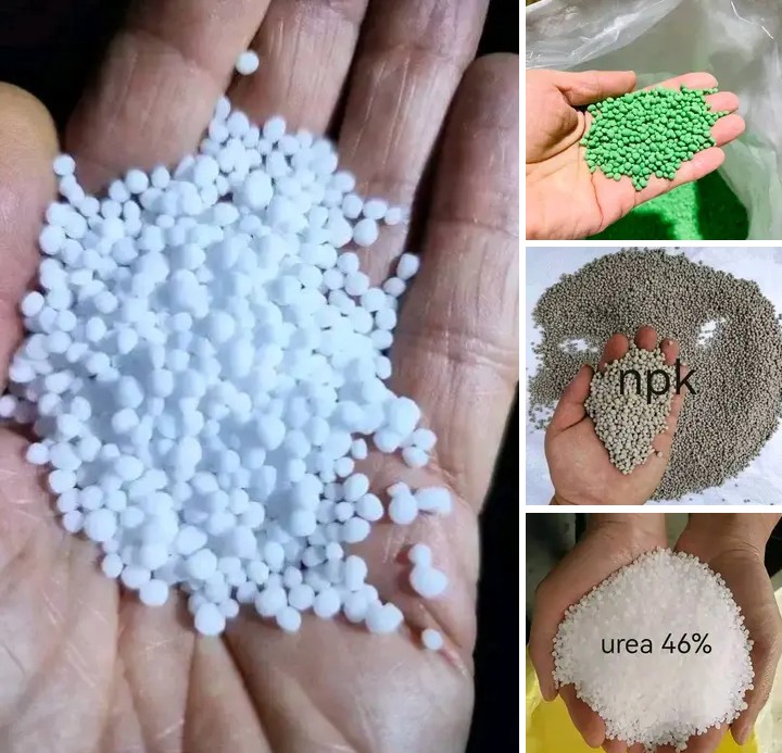 Understanding Fertilizers : DAP, CAN, And NPK